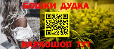 амф Камышлов