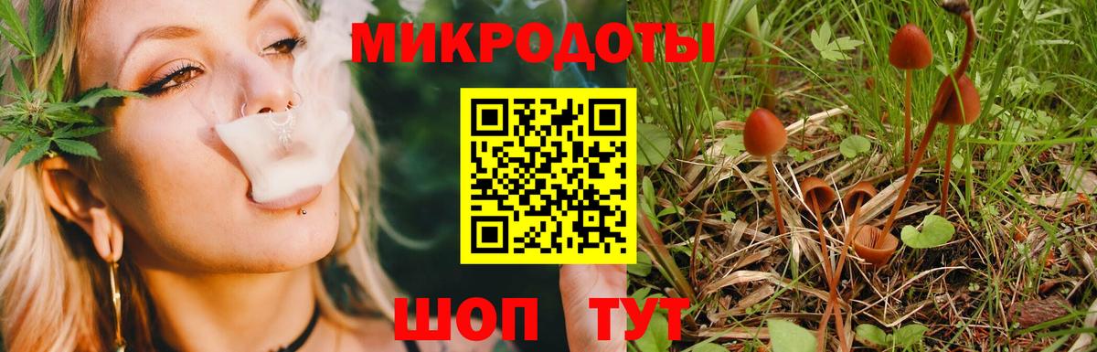 Красноярск  Псилоцибиновые грибы мухоморы  Вход с VPN  Галлюциногенные грибы мицелий 
